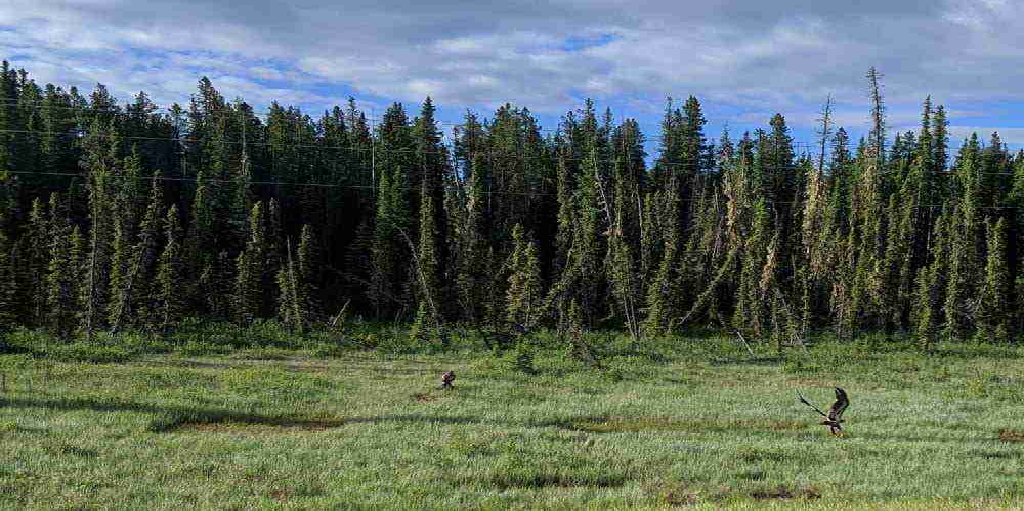 Mature Edmonton Communities